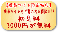 携帯サイト特典